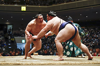 日本大相撲トーナメント